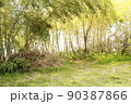竹林と雑木林 90387866