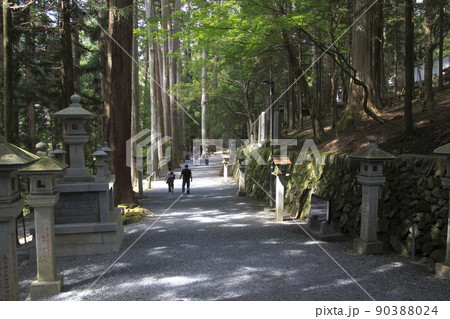 三峯神社にて（埼玉県秩父市） 90388024