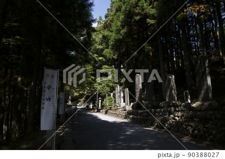 三峯神社にて(埼玉県秩父市) 三峯神社にて(埼玉県秩父市) 90388027