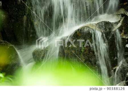 優雅で綺麗な寿老の滝 優雅で綺麗な寿老の滝 90388126
