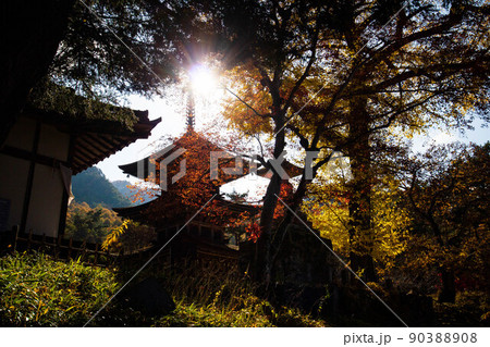 秋の信州上田 紅葉の塩田平(信州の鎌倉) 前山寺 秋の信州上田 紅葉の塩田平(信州の鎌倉) 前山寺 90388908