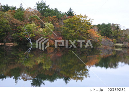 初秋の八方湖、高原山、湖、池 初秋の八方湖、高原山、湖、池 90389282