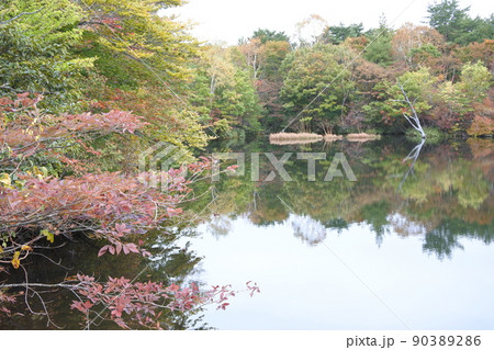 初秋の八方湖、高原山、湖、池 初秋の八方湖、高原山、湖、池 90389286