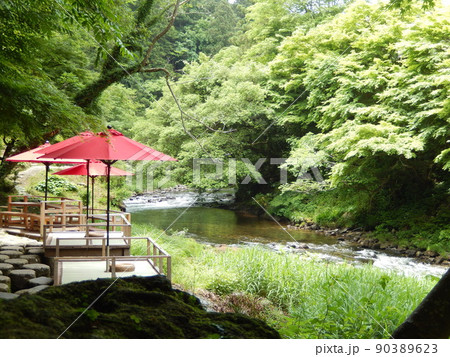 深い森の中の清流を眺める川床｜石川県加賀市山中温泉鶴仙渓 90389623