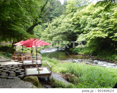 深い森の中の清流を眺める川床｜石川県加賀市山中温泉鶴仙渓 90389624