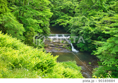 初夏の五位の滝の沢　富山県高岡市福岡町五位地区 90389884