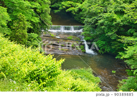 初夏の五位の滝の沢　富山県高岡市福岡町五位地区 90389885