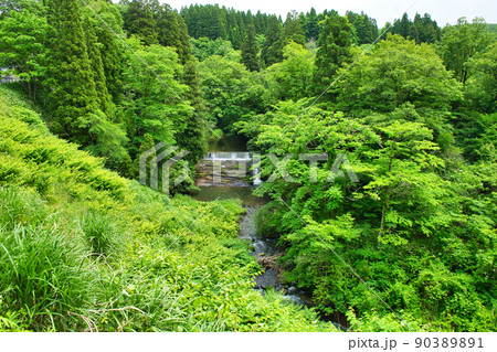 初夏の五位の滝の沢　富山県高岡市福岡町五位地区 90389891