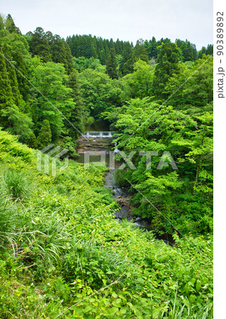初夏の五位の滝の沢　富山県高岡市福岡町五位地区 90389892