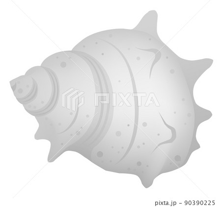 サザエ　白背景 90390225