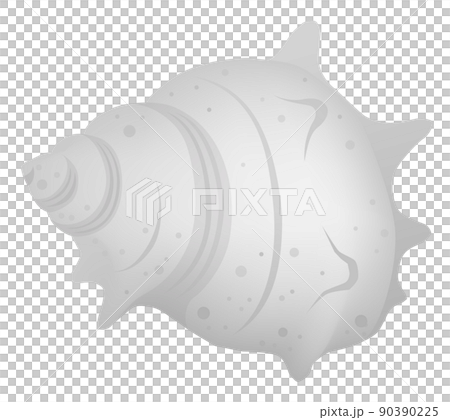 サザエ　白背景 90390225