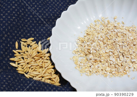 左「猫様用ねこ草の種（オーツ麦の種子）」、右「人間用オートミール（オーツ麦の加工食品）、イメージ素材 90390229