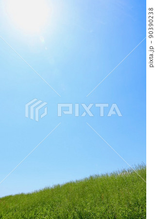 初夏の青空 初夏の青空 90390238