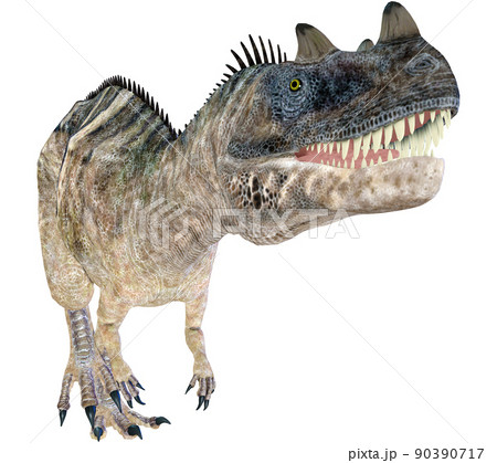 ケラトサウルス☆Ceratosaurus 90390717