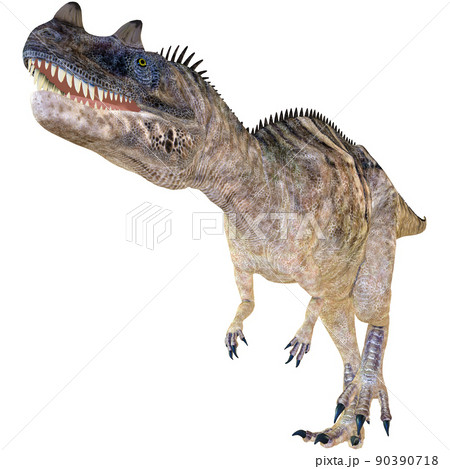 ケラトサウルス☆Ceratosaurus 90390718