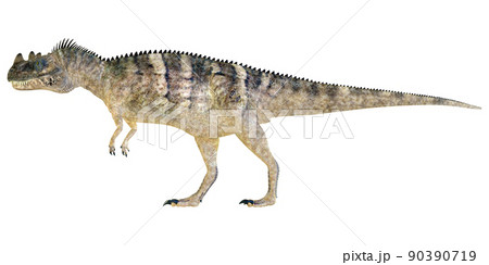 ケラトサウルス☆Ceratosaurus 90390719