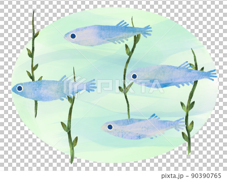 帶有手寫感覺的水彩風格 鱂魚在水中與背景的藻類一起游泳的插圖 帶有手寫感覺的水彩風格 鱂魚在水中與背景的藻類一起游泳的插圖 90390765