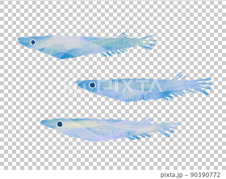 具有手寫感覺的水彩風格在一組 3 個白色背景中游泳的鱂魚插圖 具有手寫感覺的水彩風格在一組 3 個白色背景中游泳的鱂魚插圖 90390772