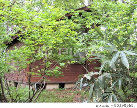 森の家 90390969