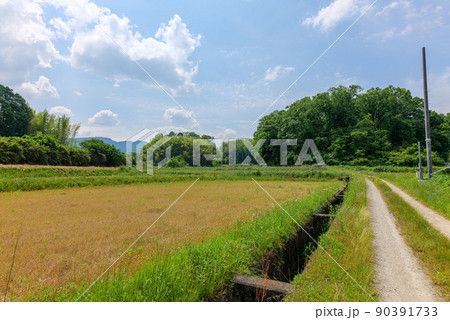 新緑の高取町からキトラ古墳 束明神古墳、春日神社と岡宮天皇陵への道 2022年5月25日 新緑の高取町からキトラ古墳 束明神古墳、春日神社と岡宮天皇陵への道 2022年5月25日 90391733