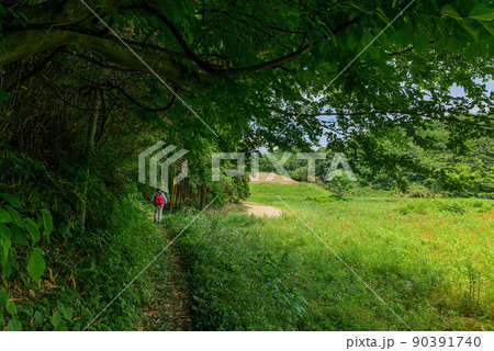 新緑の高取町からキトラ古墳 束明神古墳、春日神社と岡宮天皇陵への道 2022年5月25日 新緑の高取町からキトラ古墳 束明神古墳、春日神社と岡宮天皇陵への道 2022年5月25日 90391740