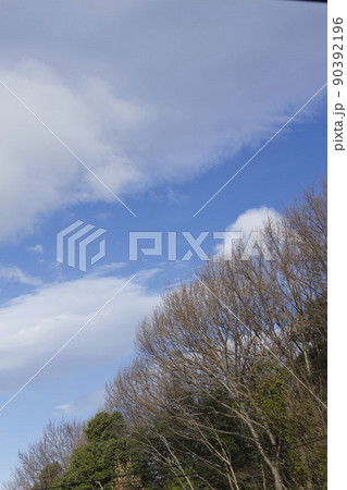 3月末朝空と木の枝 90392196