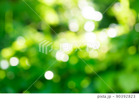 背景素材・緑の光線 玉ボケ 90392823
