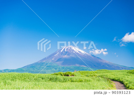 (静岡県)草原と富士山 (静岡県)草原と富士山 90393123