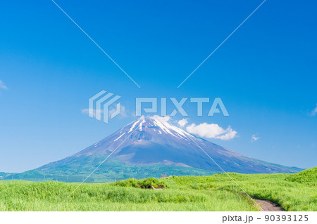 (静岡県)草原と富士山 (静岡県)草原と富士山 90393125