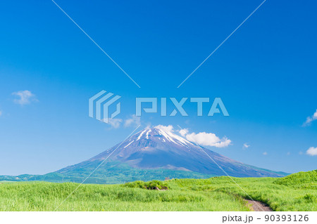 (静岡県)草原と富士山 (静岡県)草原と富士山 90393126
