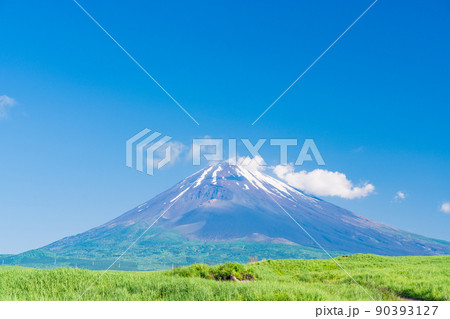 （静岡県）草原と富士山 90393127