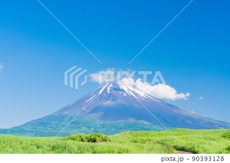 （静岡県）草原と富士山 90393128