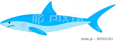 ヨシキリザメ ヨシキリザメ 90393291