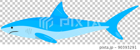 ヨシキリザメ ヨシキリザメ 90393291