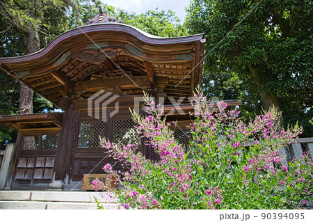 称念寺ー明智光秀ゆかりの地 称念寺ー明智光秀ゆかりの地 90394095