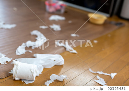 汚部屋　片付け 90395481