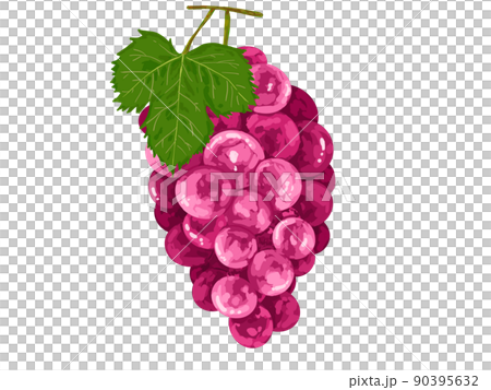PNG水果秋葡萄葡萄紅洋紅色葉真 90395632