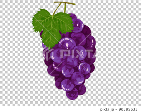 PNG水果秋季葡萄葡萄藍紫色葉子真實 90395633