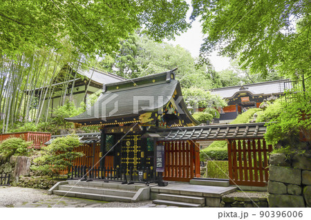 新緑の瑞鳳殿 90396006