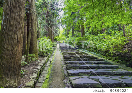新緑の瑞鳳殿 新緑の瑞鳳殿 90396024