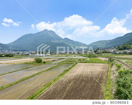 春の湯布院盆地と由布岳 90396063