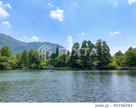 早朝の金鱗湖 早朝の金鱗湖 90396084