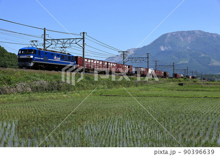伊吹山と東海道線貨物列車 90396639