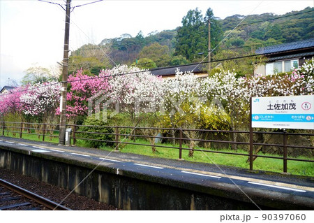 土讃線からの車窓風景 土佐加茂駅 土讃線からの車窓風景 土佐加茂駅 90397060