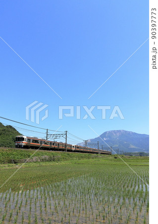 伊吹山と東海道線313系普通列車 90397773