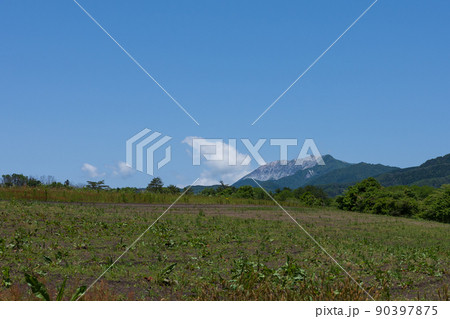 日本の岡山県真庭市の蒜山高原の美しい風景 日本の岡山県真庭市の蒜山高原の美しい風景 90397875