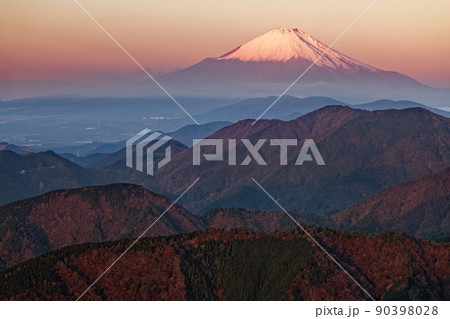 丹沢表尾根・三ノ塔から見る朝焼けの富士山 丹沢表尾根・三ノ塔から見る朝焼けの富士山 90398028