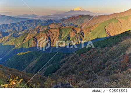 丹沢表尾根・三ノ塔から見る富士山と朝の山並み 90398391