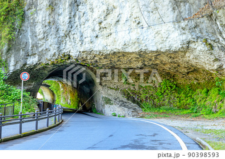 初夏の青の洞門　耶馬渓　大分県中津市 90398593