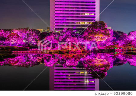 旧芝離宮夜会 90399080